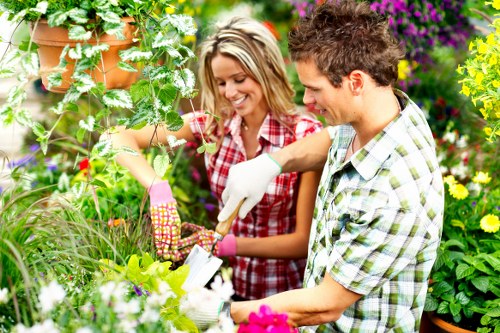 A person using a screen reader to access gardening information